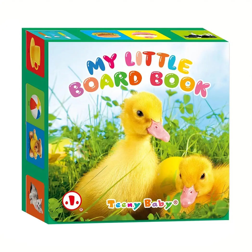 Little Minds Big World — Baby Sensory Card Books Set