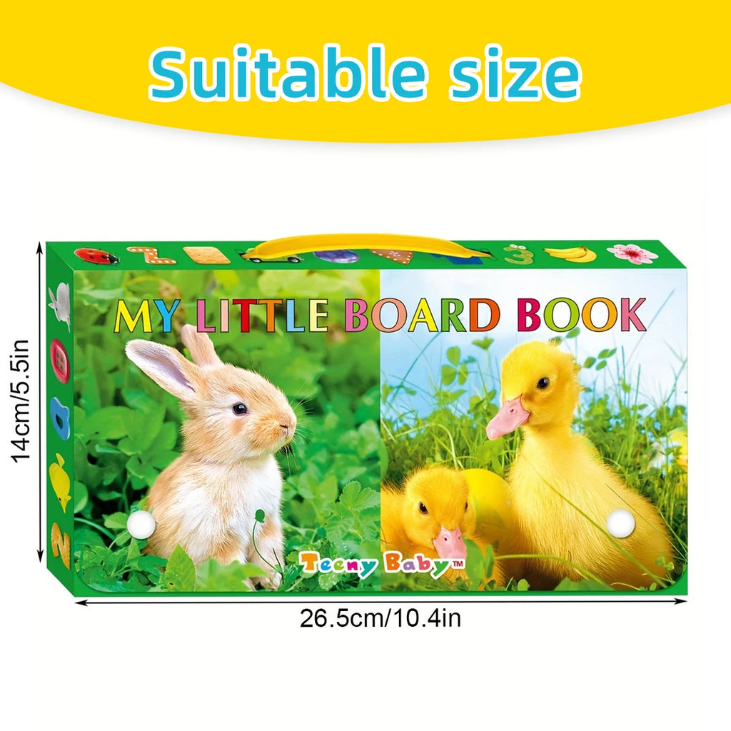 Little Minds Big World — Baby Sensory Card Books Set