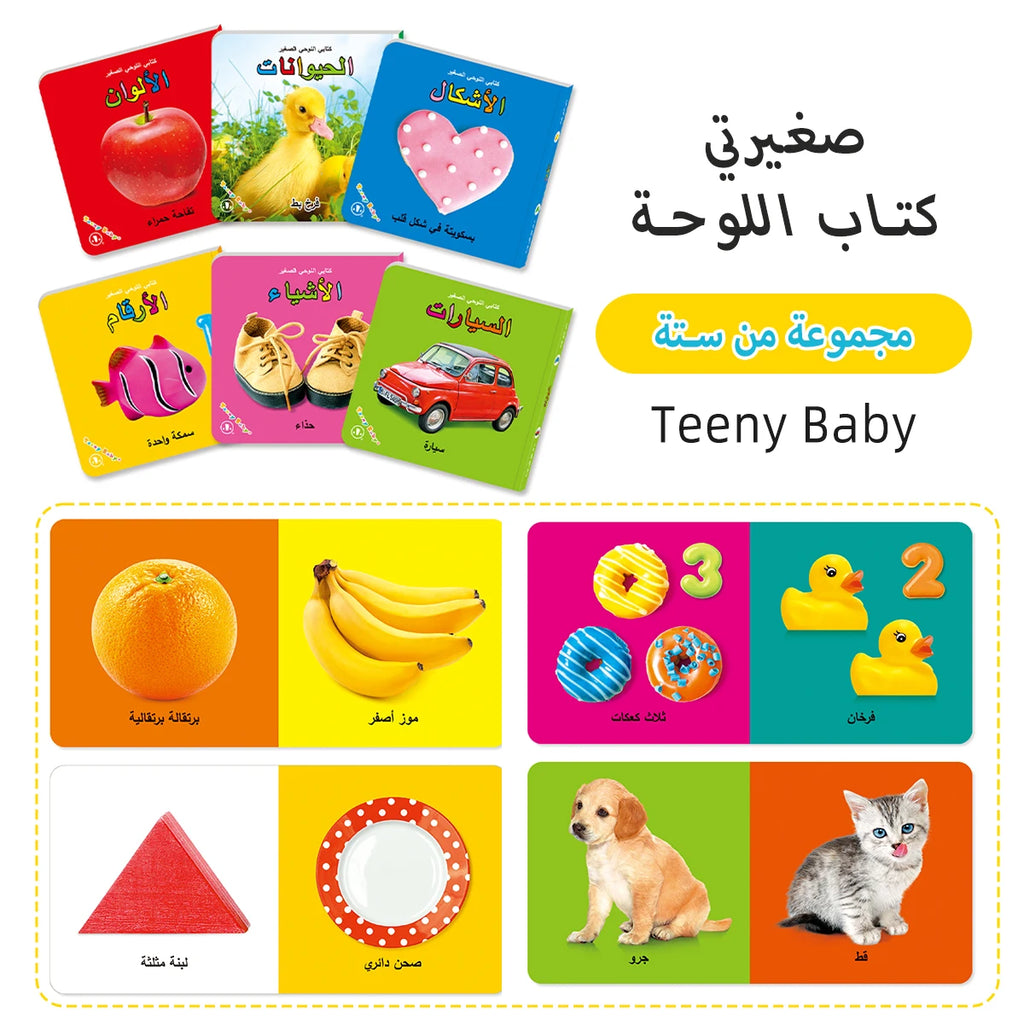 Little Minds Big World — Baby Sensory Card Books Set