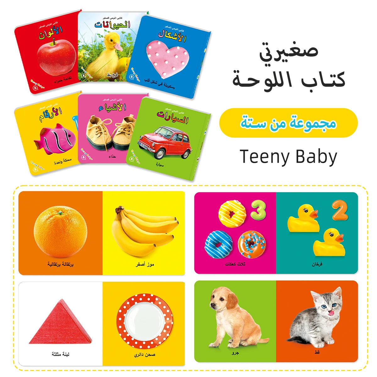 Little Minds Big World — Baby Sensory Card Books Set