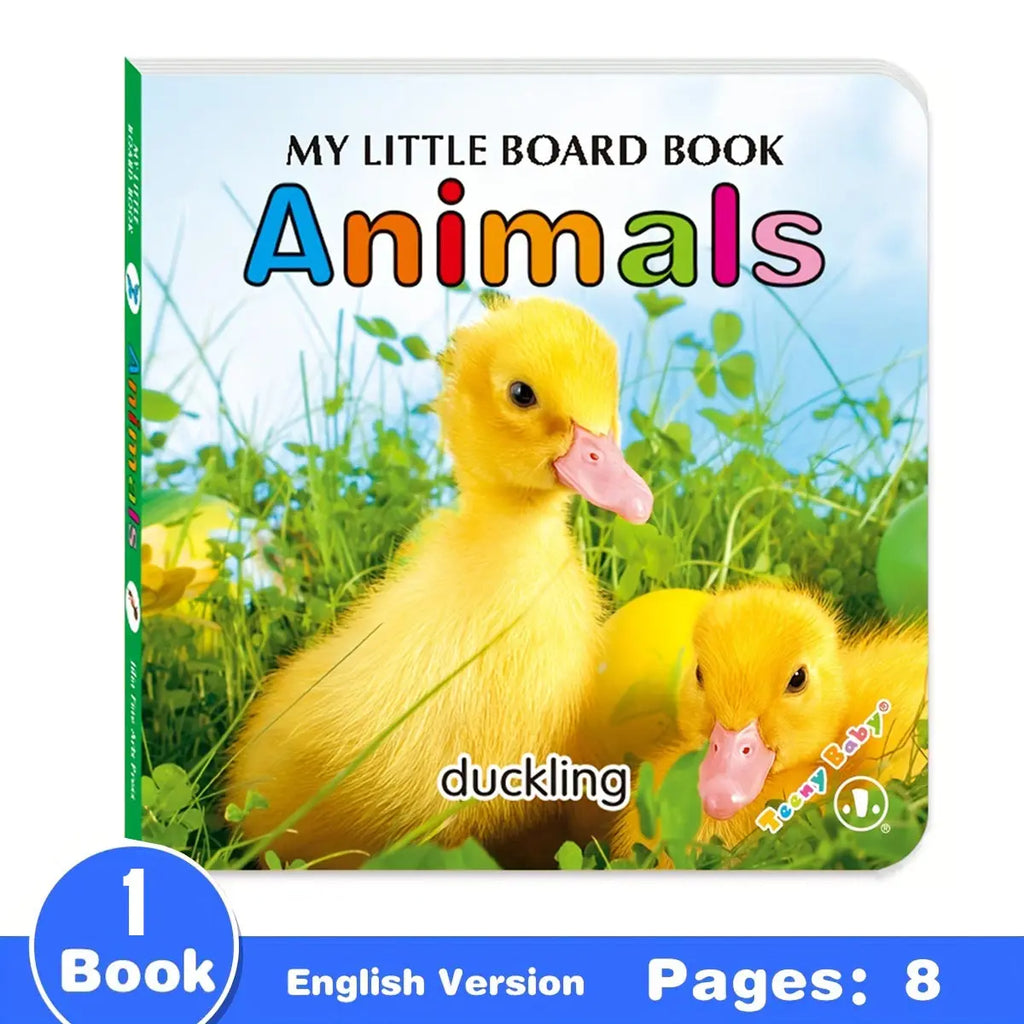 Little Minds Big World — Baby Sensory Card Books Set