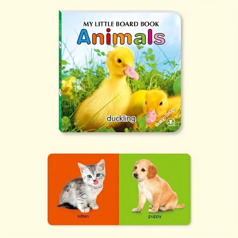 Little Minds Big World — Baby Sensory Card Books Set