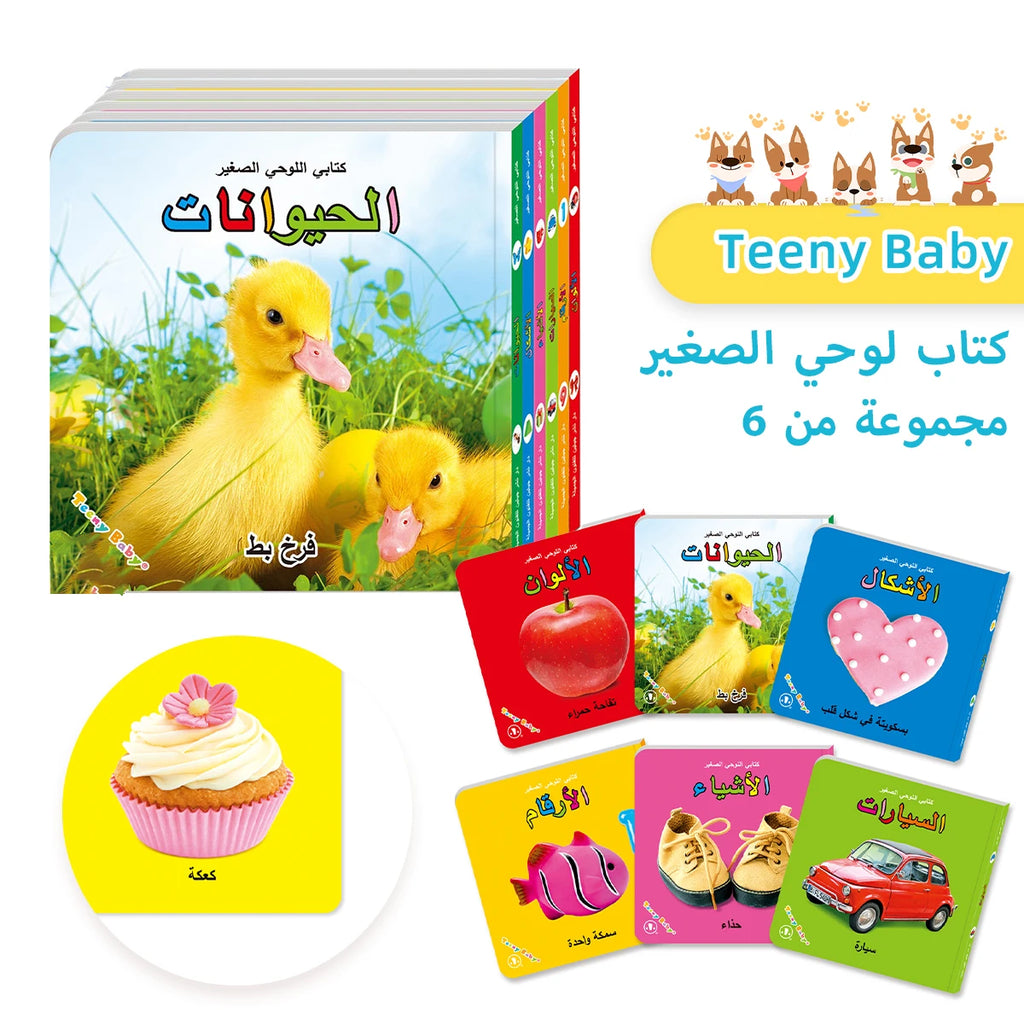 Little Minds Big World — Baby Sensory Card Books Set