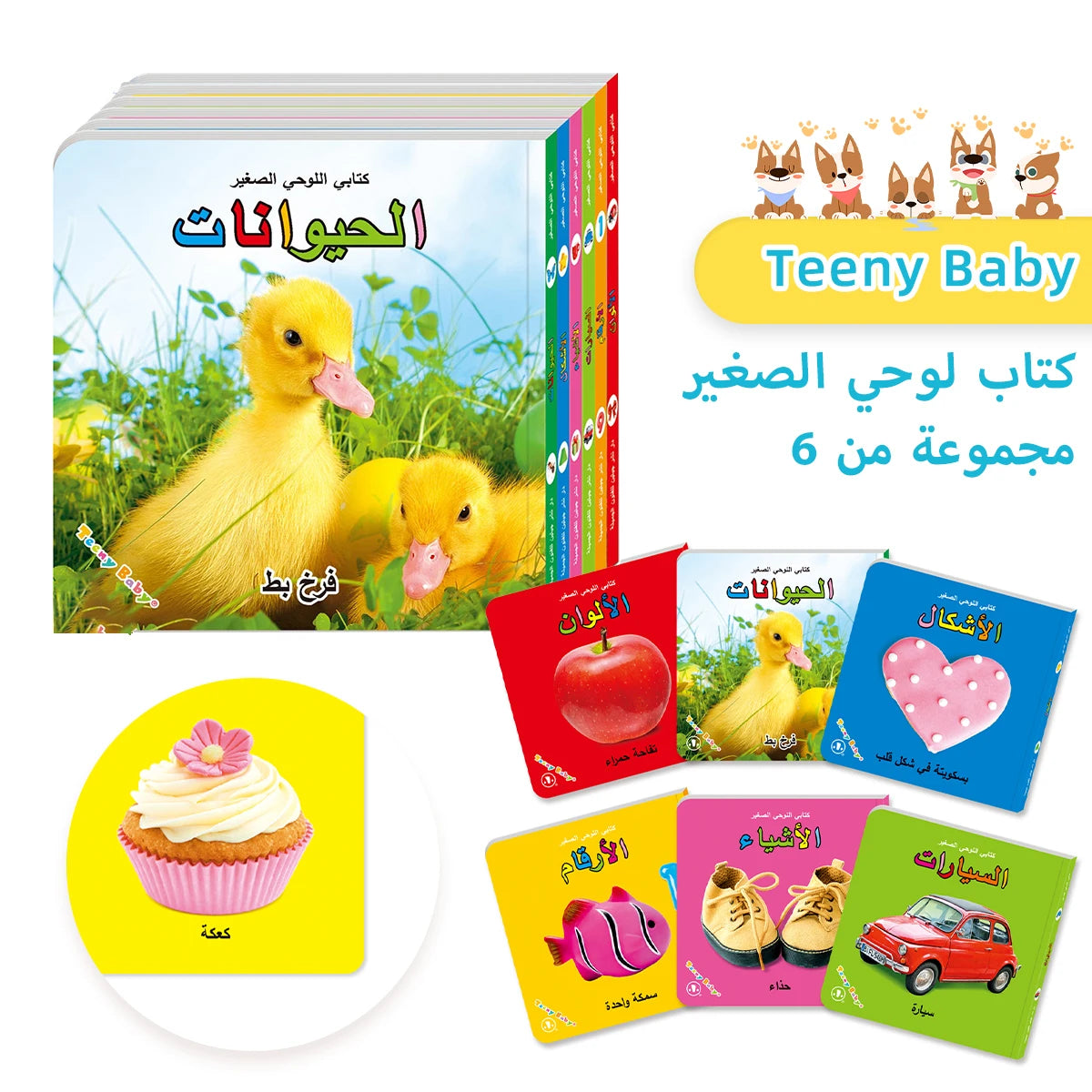Little Minds Big World — Baby Sensory Card Books Set