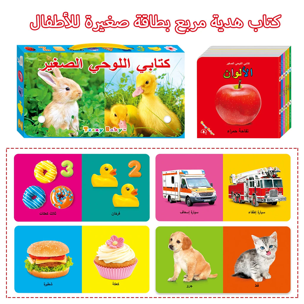 Little Minds Big World — Baby Sensory Card Books Set