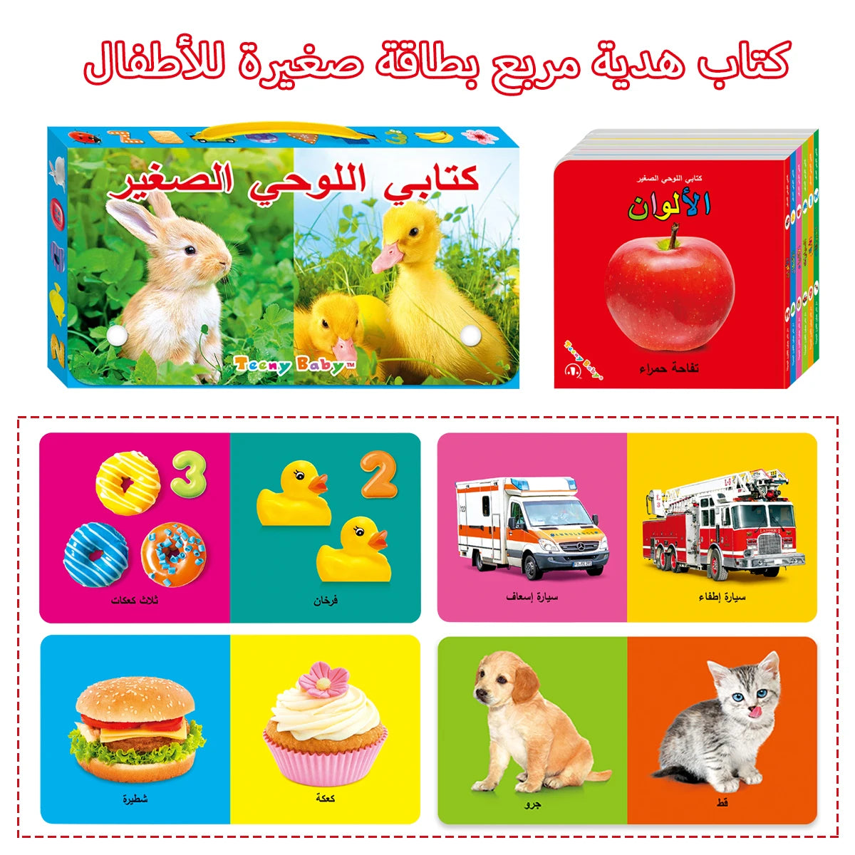Little Minds Big World — Baby Sensory Card Books Set